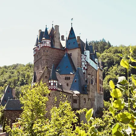 Feldblick *